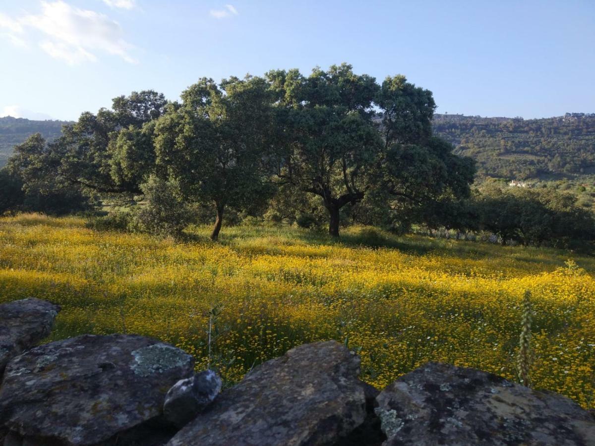 Serradilla At La Catamusa מראה חיצוני תמונה