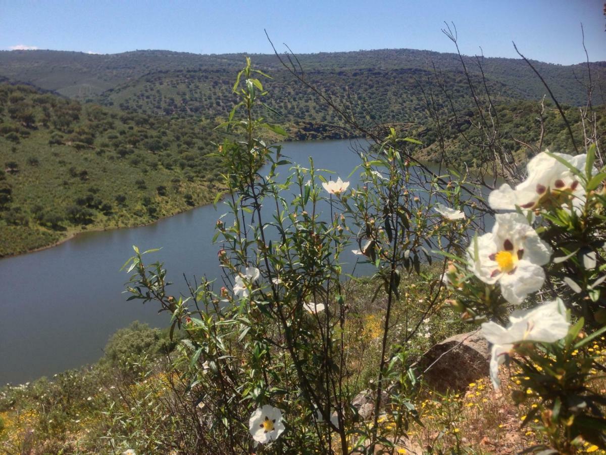 Serradilla At La Catamusa מראה חיצוני תמונה